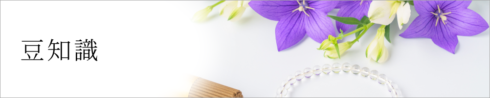 豆知識