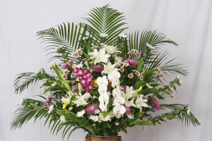 JAセレモニーさが